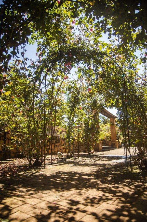 La Casa Nostra Rose Garden * Hillcrest